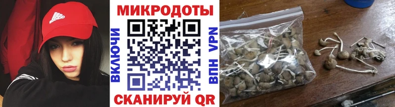 Галлюциногенные грибы Psilocybine cubensis где купить гидра сайт Кимры
