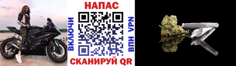 где купить   Кимры  Шишки марихуана OG Kush 